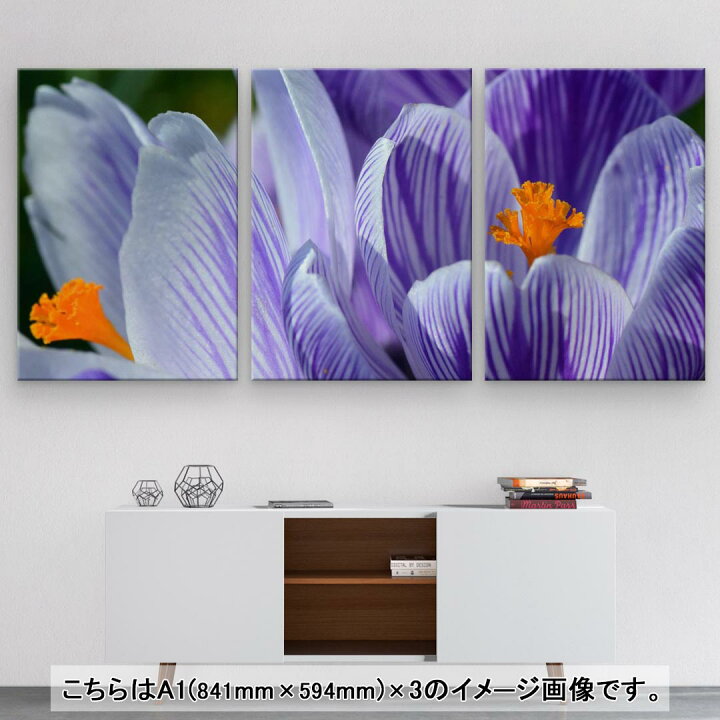 楽天市場】アートパネル 絵 絵画 飾り 選べるサイズ 594×841mm A1 3枚 