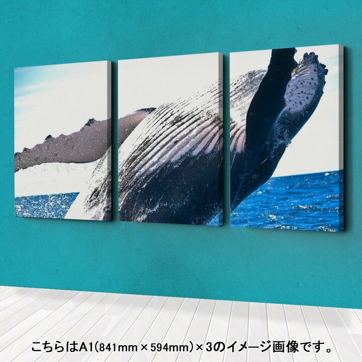 楽天市場 アートパネル 絵 絵画 飾り 選べるサイズ 594 841mm A1 3枚セット セット物 モダン 玄関 写真 フォト インテリア おしゃれ くじら 写真 海 Kabeコレ