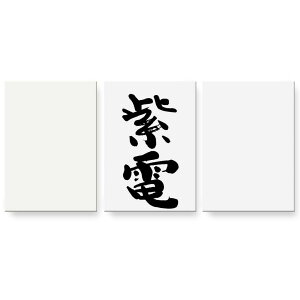 A[gpl G G  IׂTCY 594×841mm A1 3Zbg Zbg _  ʐ^ tHg CeA  002304 {Ea @