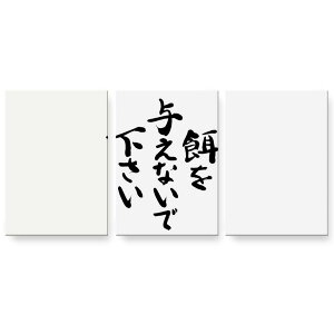 A[gpl G G  IׂTCY 594×841mm A1 3Zbg Zbg _  ʐ^ tHg CeA  002317 {Ea @