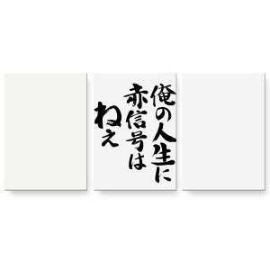 A[gpl G G  IׂTCY 594×841mm A1 3Zbg Zbg _  ʐ^ tHg CeA  002329 {Ea @