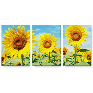 A[gpl 3A 3Zbg G G  igsticker 594mmx420mm A2 tHg Ǌ| ؘg CeA  002501 ԁ@Ђ܂@ʐ^