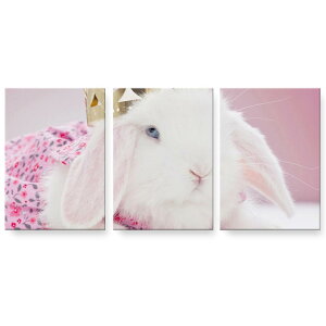 A[gpl 3A 3Zbg G G  igsticker 594mmx420mm A2 tHg Ǌ| ؘg CeA  002570 @@ʐ^