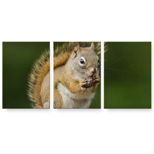 A[gpl G G  IׂTCY 594×841mm A1 3Zbg Zbg _  ʐ^ tHg CeA  002575 Vv@@