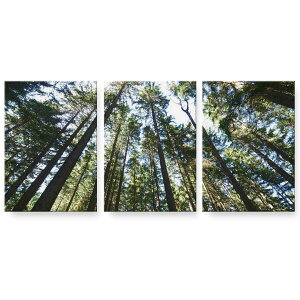 A[gpl G G  IׂTCY 594×841mm A1 3Zbg Zbg _  ʐ^ tHg CeA  002581 iF@i@ʐ^