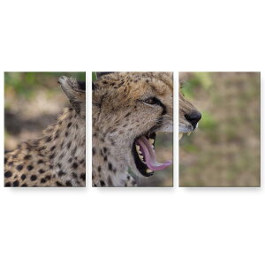 アートパネル 絵 絵画 飾り 選べるサイズ 594×841mm A1 3枚セット セット物 モダン 玄関 写真 フォト インテリア おしゃれ 002582 動物 写真 豹
