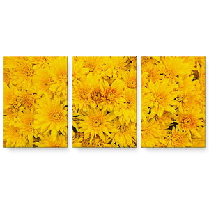 A[gpl 3A 3Zbg G G  igsticker 594mmx420mm A2 tHg Ǌ| ؘg CeA  002624 ԁ@@F@ʐ^