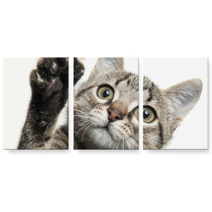 A[gpl G G  IׂTCY 594×841mm A1 3Zbg Zbg _  ʐ^ tHg CeA  002674 L@@ʐ^