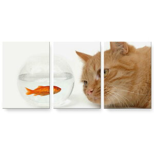 A[gpl 3A 3Zbg G G  igsticker 594mmx420mm A2 tHg Ǌ| ؘg CeA  002741 L@@ʐ^