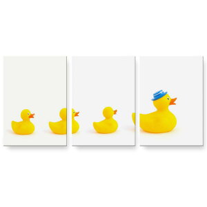 A[gpl G G  IׂTCY 594×841mm A1 3Zbg Zbg _  ʐ^ tHg CeA  002751 @Aq@