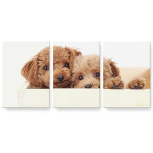 アートパネル 3連 3枚セット 絵 絵画 飾り igsticker 594mmx420mm A2 フォト 壁掛け 木枠 インテリア おしゃれ 002770 犬 動物 写真