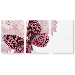 A[gpl G G  IׂTCY 594×841mm A1 3Zbg Zbg _  ʐ^ tHg CeA  002790 @ԁ@sN