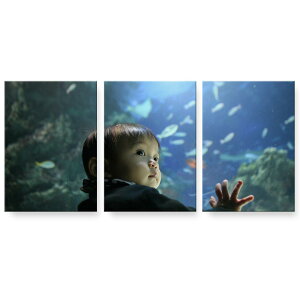 A[gpl 3A 3Zbg G G  igsticker 594mmx420mm A2 tHg Ǌ| ؘg CeA  002796 l@xr[@ʐ^