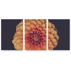 A[gpl G G  IׂTCY 594×841mm A1 3Zbg Zbg _  ʐ^ tHg CeA  022891 ԁ@ʐ^