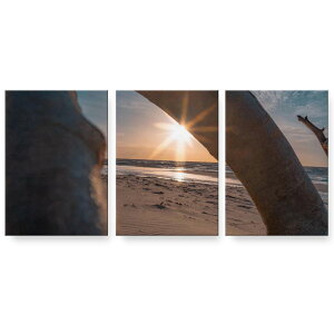 A[gpl G G  IׂTCY 594×841mm A1 3Zbg Zbg _  ʐ^ tHg CeA  022941 ʐ^@C@[