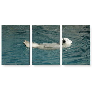 A[gpl G G  IׂTCY 594×841mm A1 3Zbg Zbg _  ʐ^ tHg CeA  022960 ܁@