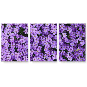 �A�[�g�p�l�� 3�A 3���Z�b�g �G �G�� ���� igsticker 594mmx420mm A2 �t�H�g �Ǌ|�� �ؘg �C���e���A ������� 022997 �ԁ@�ʐ^�@���R