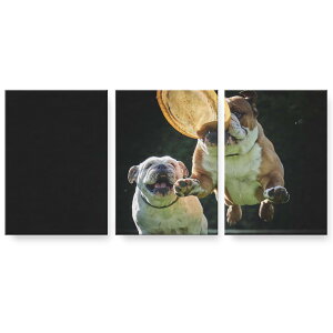 A[gpl 3A 3Zbg G G  igsticker 594mmx420mm A2 tHg Ǌ| ؘg CeA  023041 @@ʐ^