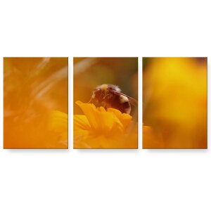 A[gpl G G  IׂTCY 594×841mm A1 3Zbg Zbg _  ʐ^ tHg CeA  023042 I@ԁ@ʐ^