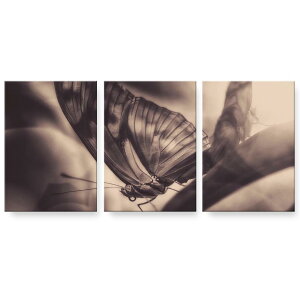 A[gpl G G  IׂTCY 594×841mm A1 3Zbg Zbg _  ʐ^ tHg CeA  023046 X@R@iF@ZsA