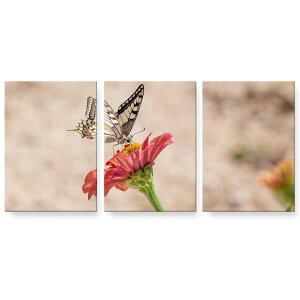 A[gpl 3A 3Zbg G G  igsticker 594mmx420mm A2 tHg Ǌ| ؘg CeA  023047 X@ԁ@ʐ^