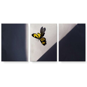 アートパネル 絵 絵画 飾り 選べるサイズ 594×841mm A1 3枚セット セット物 モダン 玄関 写真 フォト インテリア おしゃれ 023048 蝶々 写真