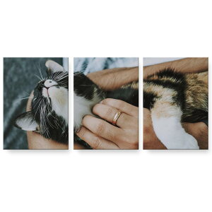 A[gpl G G  IׂTCY 594×841mm A1 3Zbg Zbg _  ʐ^ tHg CeA  023085 L@˂@@ʐ^