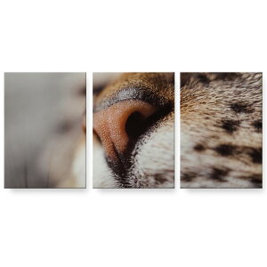 アートパネル 3連 3枚セット 絵 絵画 飾り igsticker 594mmx420mm A2 フォト 壁掛け 木枠 インテリア おしゃれ 023091 猫 ねこ 動物 写真