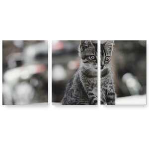 A[gpl 3A 3Zbg G G  igsticker 594mmx420mm A2 tHg Ǌ| ؘg CeA  023094 L@˂@@ʐ^