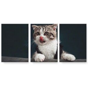 A[gpl G G  IׂTCY 594×841mm A1 3Zbg Zbg _  ʐ^ tHg CeA  023096 L@˂@@ʐ^