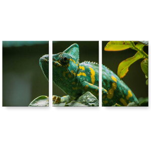 �A�[�g�p�l�� 3�A 3���Z�b�g �G �G�� ���� igsticker 594mmx420mm A2 �t�H�g �Ǌ|�� �ؘg �C���e���A ������� 023102 �C�O�A�i�@�ʐ^�@������