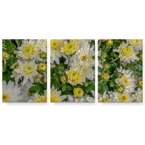 A[gpl G G  IׂTCY 594×841mm A1 3Zbg Zbg _  ʐ^ tHg CeA  023116 ԁ@ʐ^