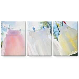 A[gpl 3A 3Zbg G G  igsticker 594mmx420mm A2 tHg Ǌ| ؘg CeA  023131 q@t@bV@ʐ^