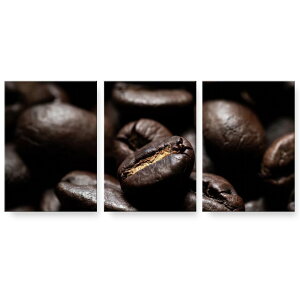 A[gpl G G  IׂTCY 594×841mm A1 3Zbg Zbg _  ʐ^ tHg CeA  023147 R[q[@ʐ^