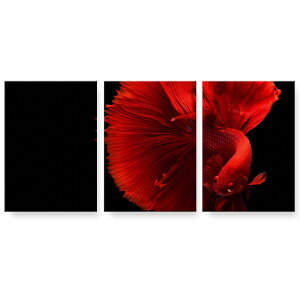 A[gpl 3A 3Zbg G G  igsticker 594mmx420mm A2 tHg Ǌ| ؘg CeA  023154 @ʐ^
