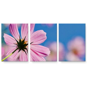 A[gpl 3A 3Zbg G G  igsticker 594mmx420mm A2 tHg Ǌ| ؘg CeA  023169 ԁ@t[@RXX