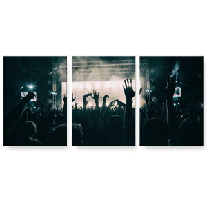 アートパネル 3連 3枚セット 絵 絵画 飾り igsticker 594mmx420mm A2 フォト 壁掛け 木枠 インテリア おしゃれ 023177 ライブ フェス 音楽