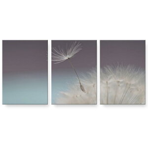 A[gpl 3A 3Zbg G G  igsticker 594mmx420mm A2 tHg Ǌ| ؘg CeA  023192 ۂہ@Ȗс@ʐ^