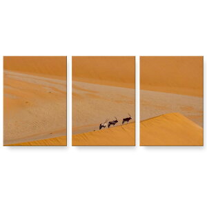 A[gpl 3A 3Zbg G G  igsticker 594mmx420mm A2 tHg Ǌ| ؘg CeA  023202 @ʐ^