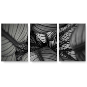 A[gpl G G  IׂTCY 594×841mm A1 3Zbg Zbg _  ʐ^ tHg CeA  023208 mN@Xe@t