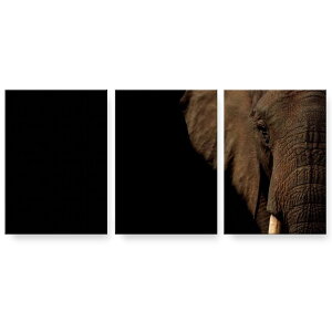 A[gpl 3A 3Zbg G G  igsticker 594mmx420mm A2 tHg Ǌ| ؘg CeA  023247 ]E@@Aj}