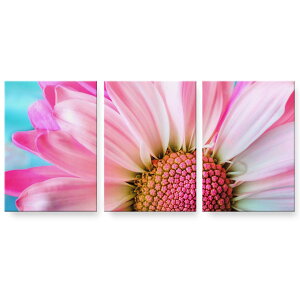 アートパネル 3連 3枚セット 絵 絵画 飾り igsticker 594mmx420mm A2 フォト 壁掛け 木枠 インテリア おしゃれ 023310 花 フラワー 写真