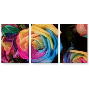 A[gpl G G  IׂTCY 594×841mm A1 3Zbg Zbg _  ʐ^ tHg CeA  023311 ԁ@t[@KN@C{[