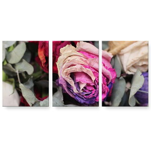 A[gpl G G  IׂTCY 594×841mm A1 3Zbg Zbg _  ʐ^ tHg CeA  023312 ԁ@t[@KN@C{[