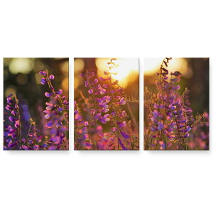 アートパネル 絵 絵画 飾り 選べるサイズ 594×841mm A1 3枚セット セット物 モダン 玄関 写真 フォト インテリア おしゃれ 023316 花 フラワー 景色 写真