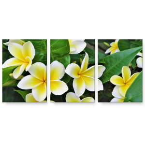 A[gpl 3A 3Zbg G G  igsticker 594mmx420mm A2 tHg Ǌ| ؘg CeA  023320 ԁ@t[@vA
