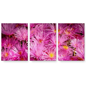 A[gpl 3A 3Zbg G G  igsticker 594mmx420mm A2 tHg Ǌ| ؘg CeA  023323 ԁ@t[@ʐ^