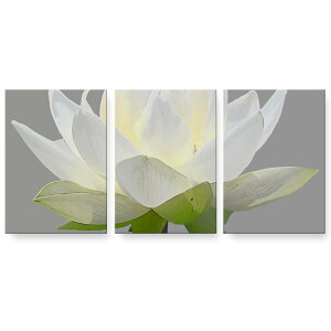 A[gpl G G  IׂTCY 594×841mm A1 3Zbg Zbg _  ʐ^ tHg CeA  023324 ԁ@t[