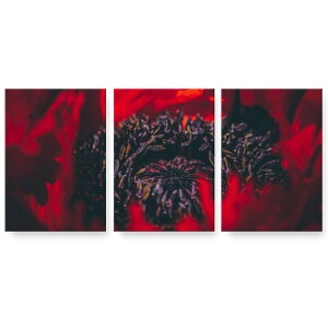 A[gpl G G  IׂTCY 594×841mm A1 3Zbg Zbg _  ʐ^ tHg CeA  023330 ԁ@t[@ʐ^