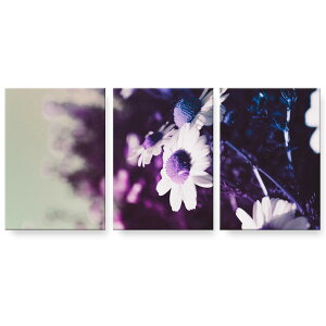 A[gpl 3A 3Zbg G G  igsticker 594mmx420mm A2 tHg Ǌ| ؘg CeA  023335 ԁ@t[@ʐ^